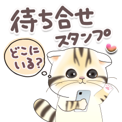 [LINEスタンプ] ねこちぃず♡待ち合わせに便利なスタンプ