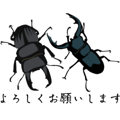 [LINEスタンプ] 【第一弾】奄美のクワガタスタンプ