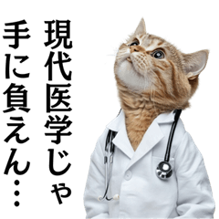 [LINEスタンプ] リアルな医者の猫【煽り・うざい・毒舌】