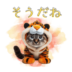 [LINEスタンプ] シャム猫スタンプ 日常編2