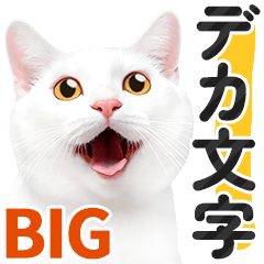 [LINEスタンプ] 【デカ文字BIG】白猫❤基本の会話