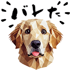 [LINEスタンプ] イヌのキモチ3（ゴールデンレトリバー）