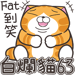 [LINEスタンプ] ランラン猫 63 (台湾版)