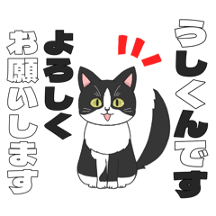 [LINEスタンプ] なーちゃんのスタンプ  猫の牛君ver 第9弾