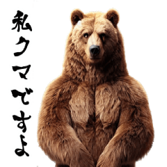 [LINEスタンプ] リアルなヒグマ【日常編】の画像（メイン）