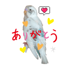 [LINEスタンプ] あおちゃんしろちゃんの生活編