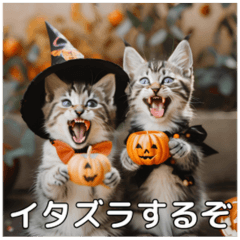 [LINEスタンプ] ハロウィンだ！子猫ミームで遊ぼう！の画像（メイン）