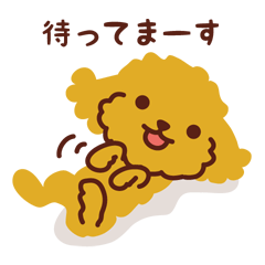 [LINEスタンプ] トイプードルのゆるい言葉スタンプ