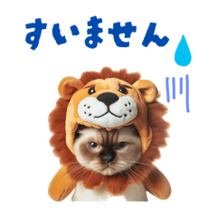 [LINEスタンプ] シャム猫スタンプ 日常編3