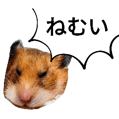 [LINEスタンプ] フェアリープリンセス☆その1