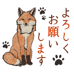 [LINEスタンプ] さっと描いたきつねのスタンプ。日常編