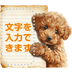 [LINEスタンプ] トイプードルのメッセージスタンプの画像（メイン）