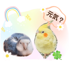 [LINEスタンプ] インコフレンズ1の画像（メイン）