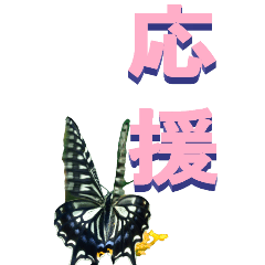 [LINEスタンプ] 漢字二文字をチョウチョウからBIG