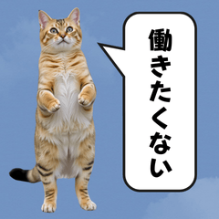 [LINEスタンプ] 立つネコと無気力な吹き出し