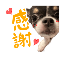 [LINEスタンプ] こてつ Part3