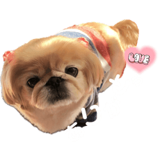 [LINEスタンプ] ちゃびたんたん