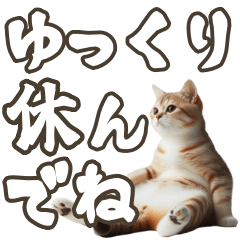 [LINEスタンプ] 毎日使える日常会話☆デカ文字☆猫☆ネコ