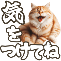 [LINEスタンプ] 毎日使える☆待ち合わせ＆日常会話☆猫ネコ