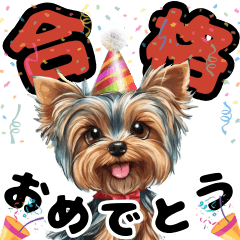 [LINEスタンプ] お祝いに使える可愛いヨークシャテリア