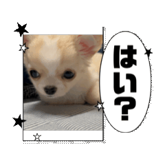 [LINEスタンプ] ピクミンスタンプ0615