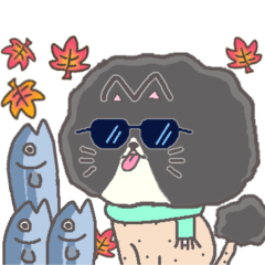 [LINEスタンプ] サマーカットにゃんこ ハチワレ 秋