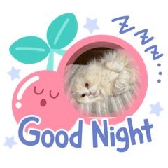[LINEスタンプ] いやしのにゃんこⅢ