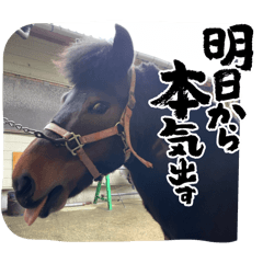 [LINEスタンプ] MKホースパーク公式 第三弾