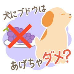 [LINEスタンプ] 犬の豆知識クイズ！アニドネスタンプ