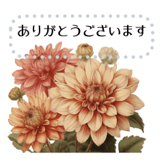 [LINEスタンプ] 大人のレトロな花のメッセージスタンプ