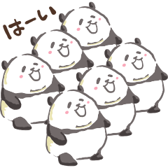 [LINEスタンプ] コピペパンダでこんにちは