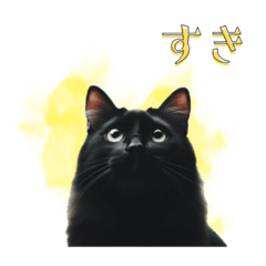 [LINEスタンプ] 黒猫スタンプ 日常編