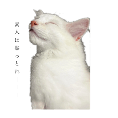 [LINEスタンプ] オス猫！Nike/ニケ