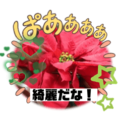[LINEスタンプ] 花スタンプ、yamami