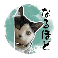 [LINEスタンプ] 茶とみ日常使い13