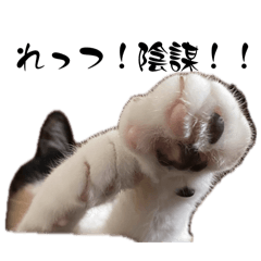 [LINEスタンプ] みい子日常使い13