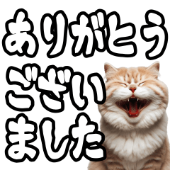 [LINEスタンプ] 毎日使える日常会話☆デカ文字敬語☆猫ネコ