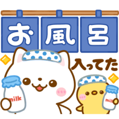 [LINEスタンプ] 毎日連絡♡ねこねこにゃんこ