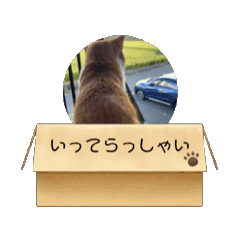 [LINEスタンプ] 万事屋一家