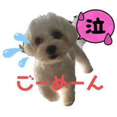 [LINEスタンプ] フィーカだからね