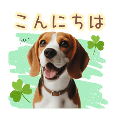 [LINEスタンプ] 日常会話 ビーグル（敬語）