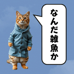 [LINEスタンプ] 服を着た猫が煽る台詞と吹き出しスタンプ