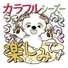 [LINEスタンプ] シーズー犬【カラフル】2024