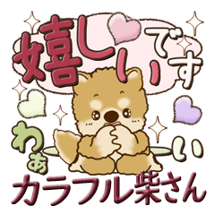 [LINEスタンプ] 柴犬・茶色い犬【カラフル】2024