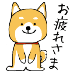 [LINEスタンプ] しばいぬくんの毎日