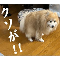 [LINEスタンプ] えり太セレクション3
