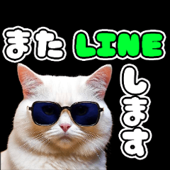 [LINEスタンプ] クールにゃん★デカ文字★カラフル