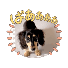 [LINEスタンプ] 動くうちのこまりー♡