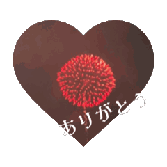 [LINEスタンプ] 綺麗な花火のスタンプ