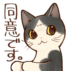 [LINEスタンプ] 大体同意する猫スタンプ